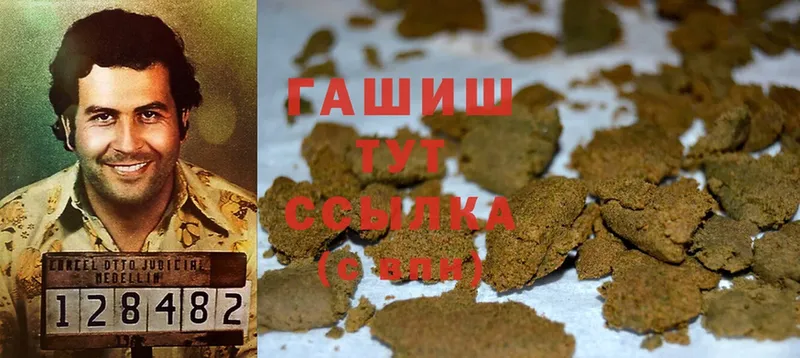 Гашиш AMNESIA HAZE  hydra как войти  Княгинино 