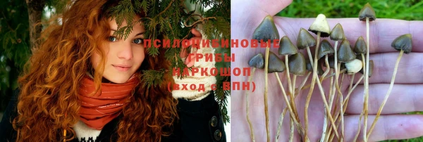 трава Нязепетровск