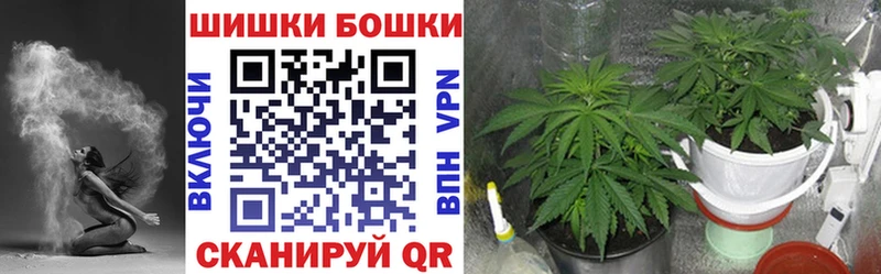 Бошки Шишки VHQ  Княгинино 